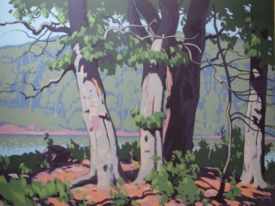 Beech Woods | Fred Haines