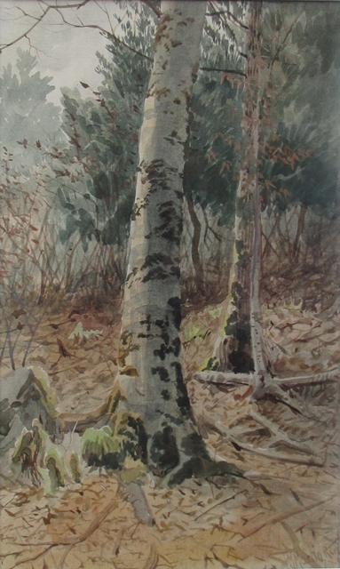 Birch Trees | Thomas Mower Martin