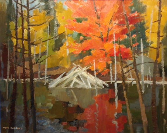 Algonquin Beaver Pond | Tom Roberts