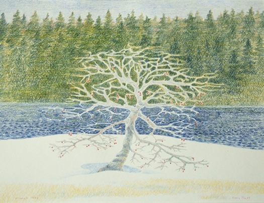 Apple Tree in Winter | Mary Pratt