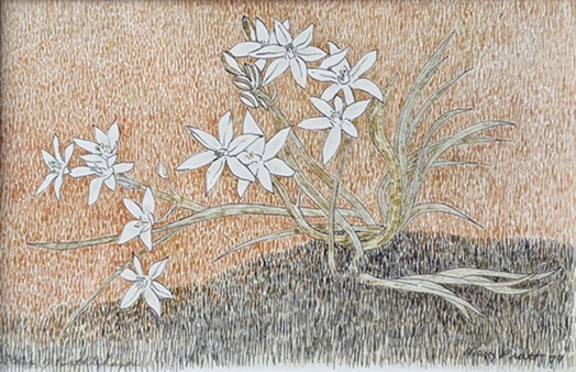 Star of Bethlehem | Mary Pratt